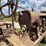 farmall-f-20-image-28