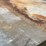 #3037-•-(1)-steel-sheet-stock-(shed)-image-4
