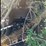 2003-drott-50-image-4