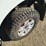 2019-ford-f150-image-33