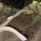 (3)-horse-drawn-implements-image-10