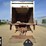 2008-international-durastar-4300-image-16