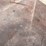 #3020-•-(1)-steel-sheet-stock-(shed)-image-3