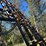 john-deere-30-image-8