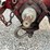 ford-8n-image-42