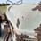 ford-8n-image-13