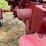 farmall-c-image-64