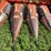 massey-ferguson-1143-image-13