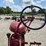 farmall-bn-image-7