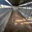 trailalong-stock-trailer-image-12