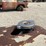 ford-8n-image-45