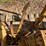 caterpillar-d5-image-47