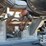 2017-raven-viper-image-20