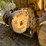 caterpillar-d5-image-39