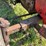 massey-ferguson-50-image-17