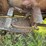 massey-ferguson-50-image-32