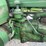john-deere-a-image-13