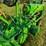 john-deere-b-image-3