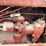 farmall-h-image-29