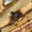 john-deere-720-image-46