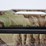 #76-•-#1200-•-benelli-nova-pump-action-shotgun-12-ga.-image-4