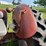 massey-ferguson-50-image-69