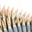 #16-•-#4075-•-(approx-100rd)-linked-.308-7.62-x-51-ammunition-belt-with-tracer-rounds-image-4