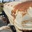 ford-8n-image-14