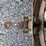 massey-ferguson-97-image-33
