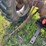 massey-ferguson-50-image-54
