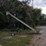 quality-plus-seed-conveyor-(np6146)-image-2