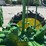 john-deere-h-image-45