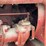 farmall-h-image-28
