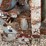 layco-dry-blender-(jn3094)-image-28