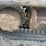 2006-bobcat-430-image-20