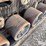 2019-kinze-1205-image-10