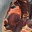 farmall-560-diesel-image-18