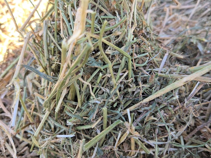 #4622-•-2nd-crop-hay-image-3