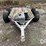 utility-trailer-(jn3097)-image-2