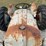 ford-8n-image-11