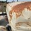 ford-8n-image-15