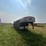 trailalong-stock-trailer-image-7