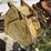 #2532-•-approx-22“-trenching-bucket-image-2