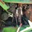 1970-john-deere-4020-image-12
