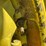 john-deere-a-image-38