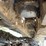 2018-caterpillar-313flgc-image-29