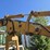 drott-40-image-11