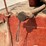 farmall-h-image-51