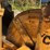 woodchuck-wc17-image-77