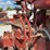 farmall-m-image-37